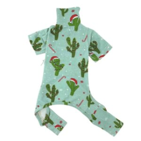 Christmas Cactus PJ (Color: Multi, size: small)