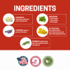 All-Natural Dog Shampoo (5 Treatment Options Available)