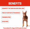 All-Natural Dog Shampoo (5 Treatment Options Available)