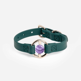 All Eyes On Me Collar (Color: Jungle Green, size: xs)