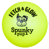 Fetch & Glow Ball