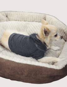 Doggy Hoodie (Color: black, size: xs)