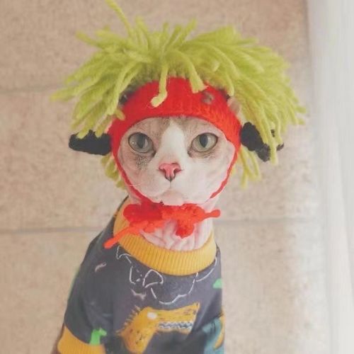 Punk Cat Hat Funny Rock Decoration