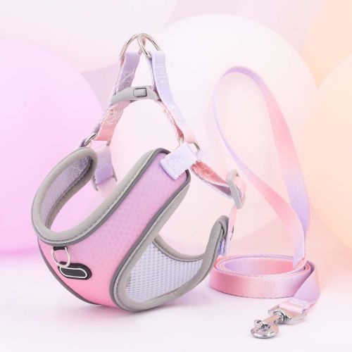 Pet Clothes Hand Holding Rope Out Dog Chest Strap